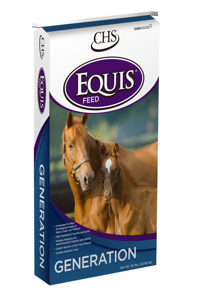 Generation Equis horse feed