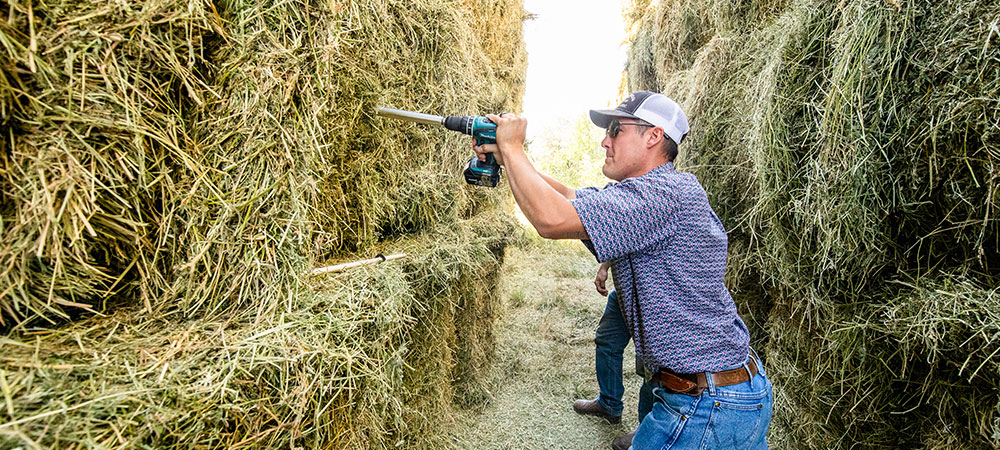 man doing hay testing