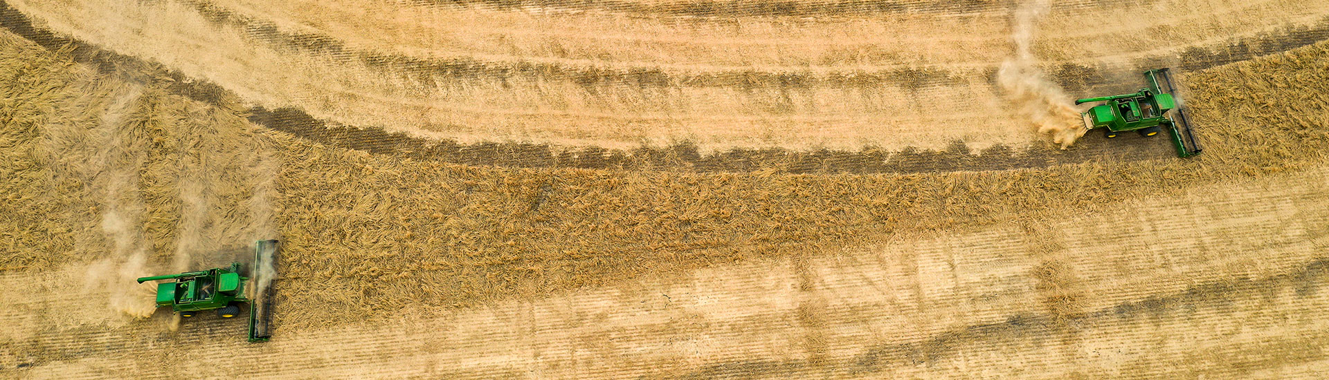 two combines in a field